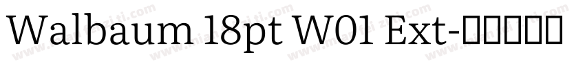Walbaum 18pt W01 Ext字体转换